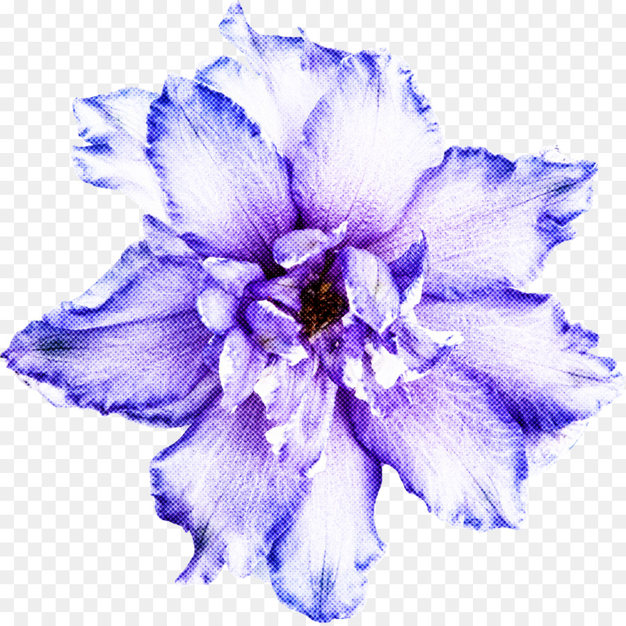 Flor Azul，Pétalos PNG