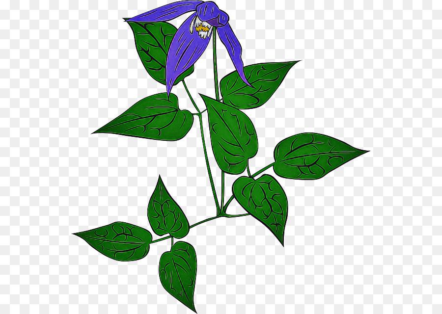 Flor，Hoja PNG