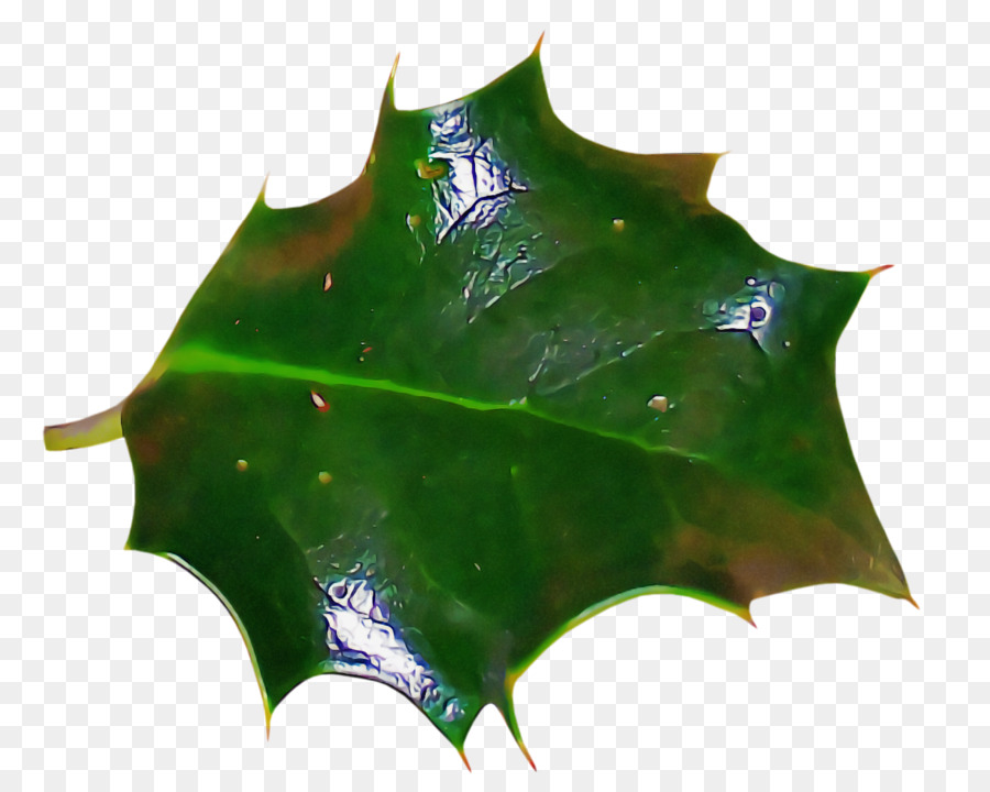 Hoja，Verde PNG