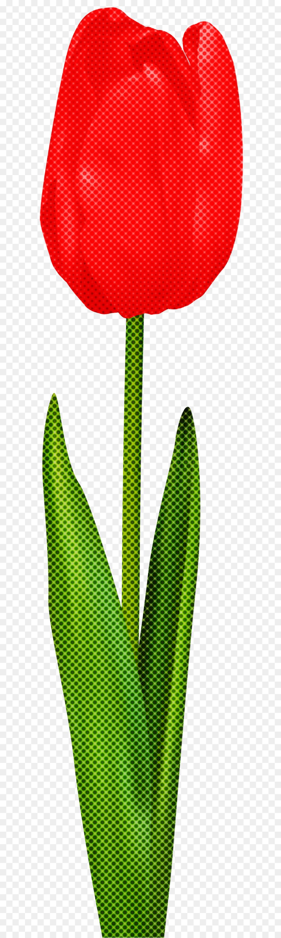 Verde，Hoja PNG