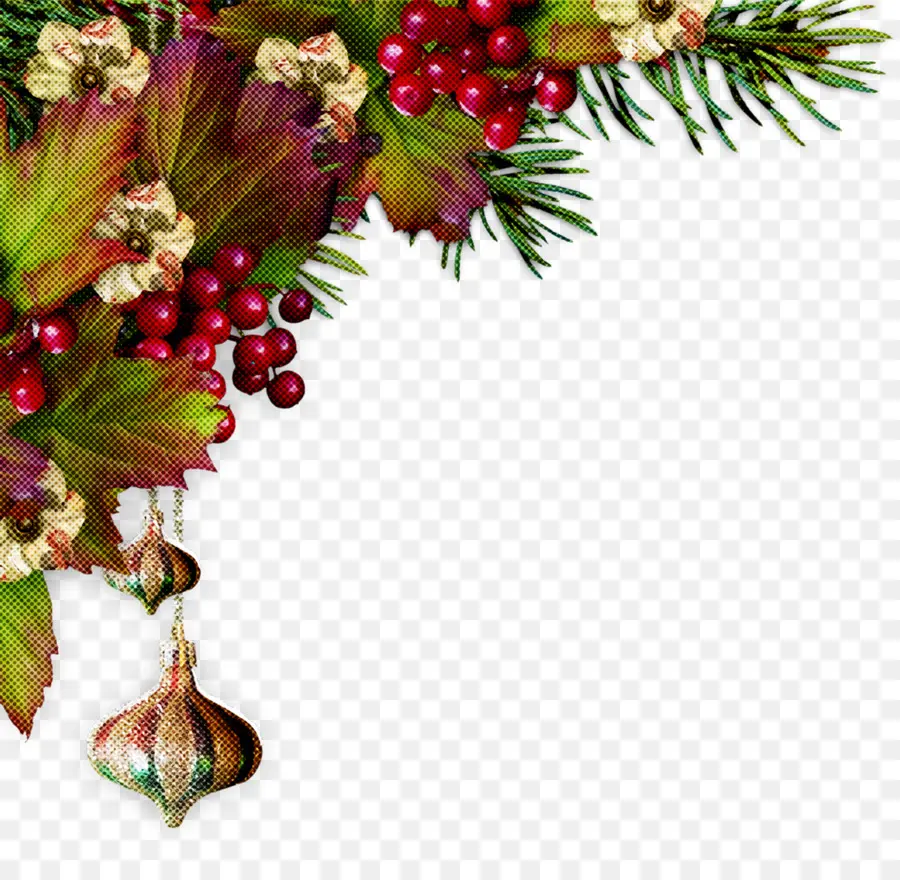 Acebo，Decoración De La Navidad PNG