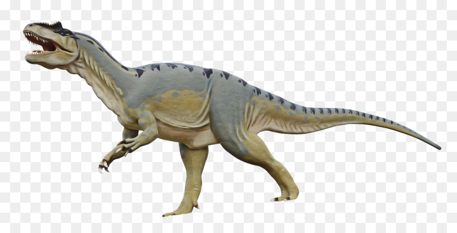 Dinosaurio，Animal Figura PNG