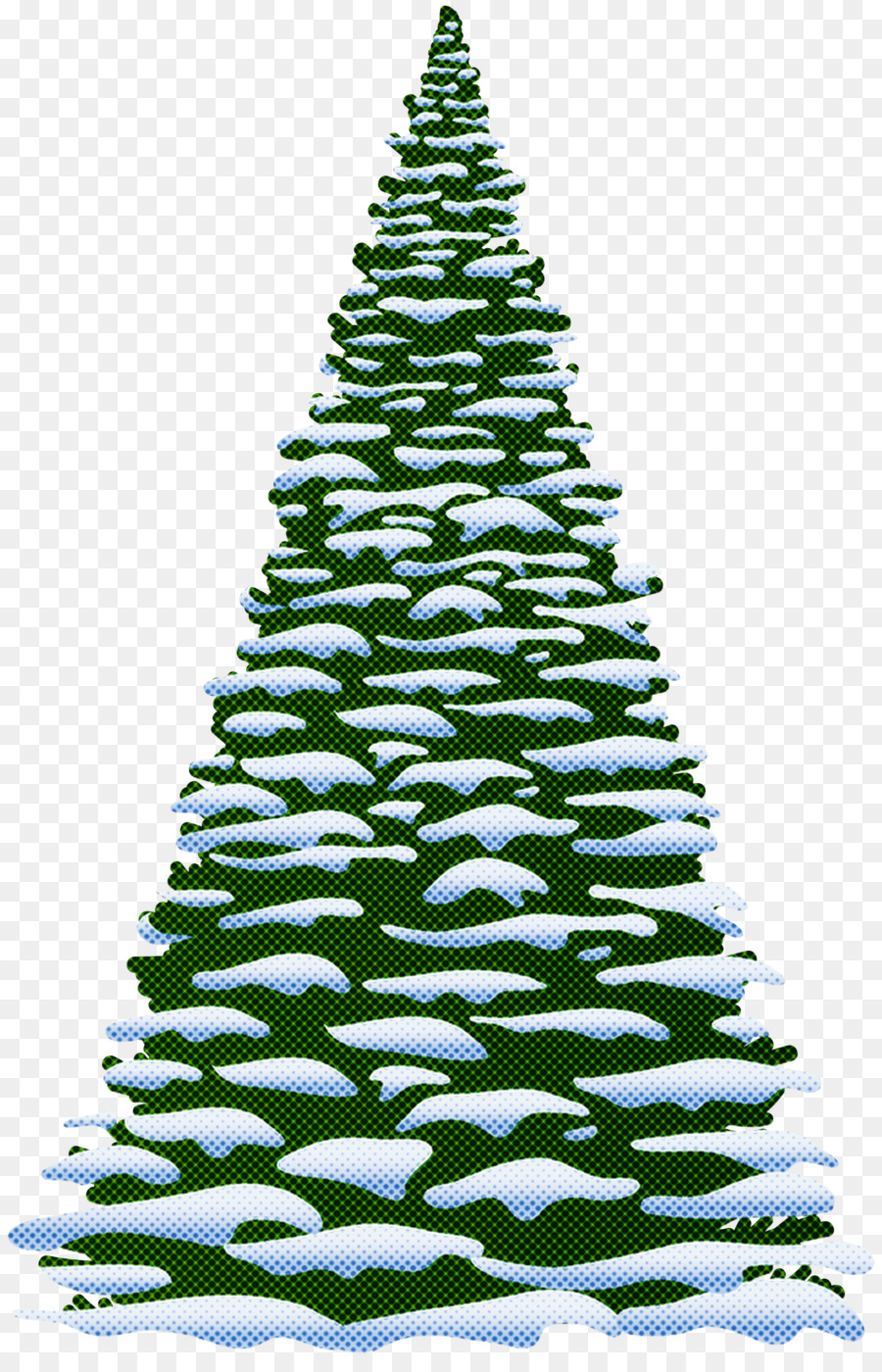 Colorado Abeto，Amarillo Fir PNG