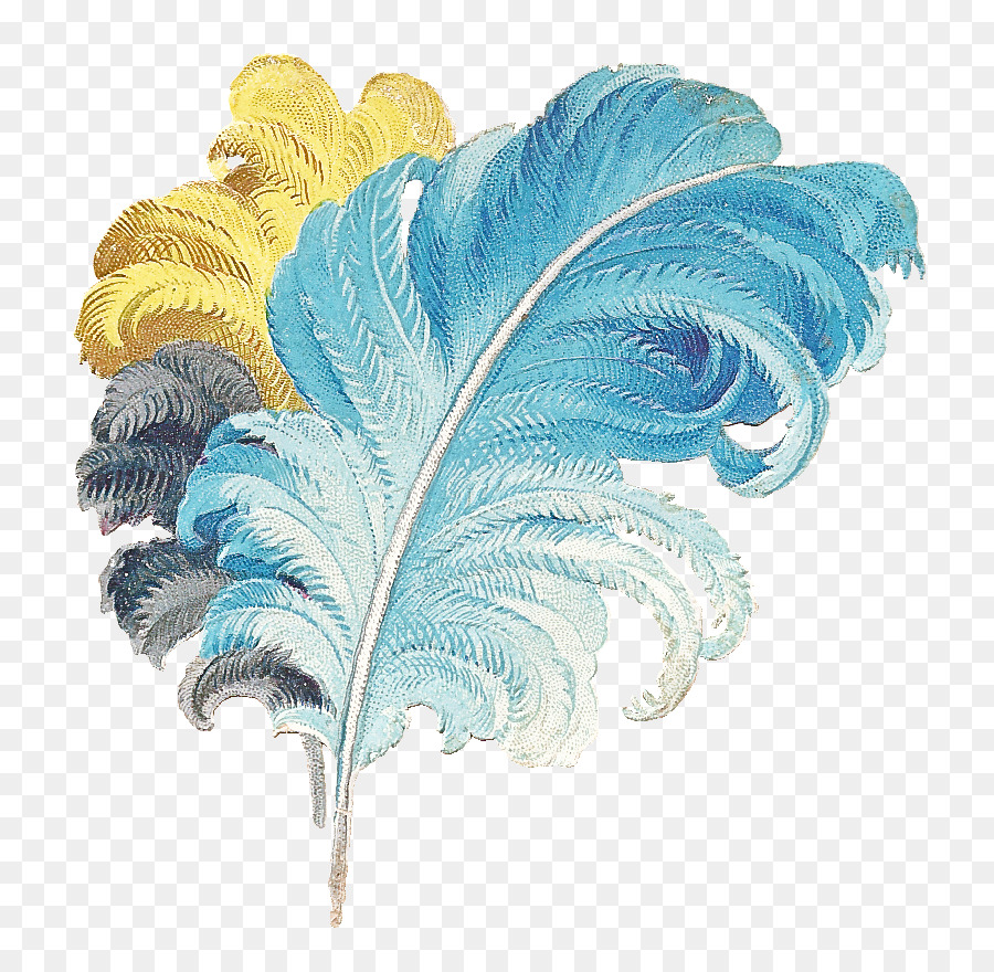 Pluma，Hoja PNG