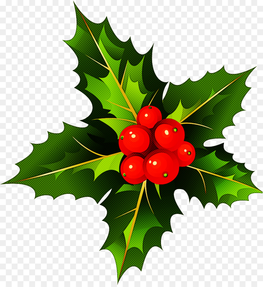 Acebo Con Frutos Rojos，Navidad PNG