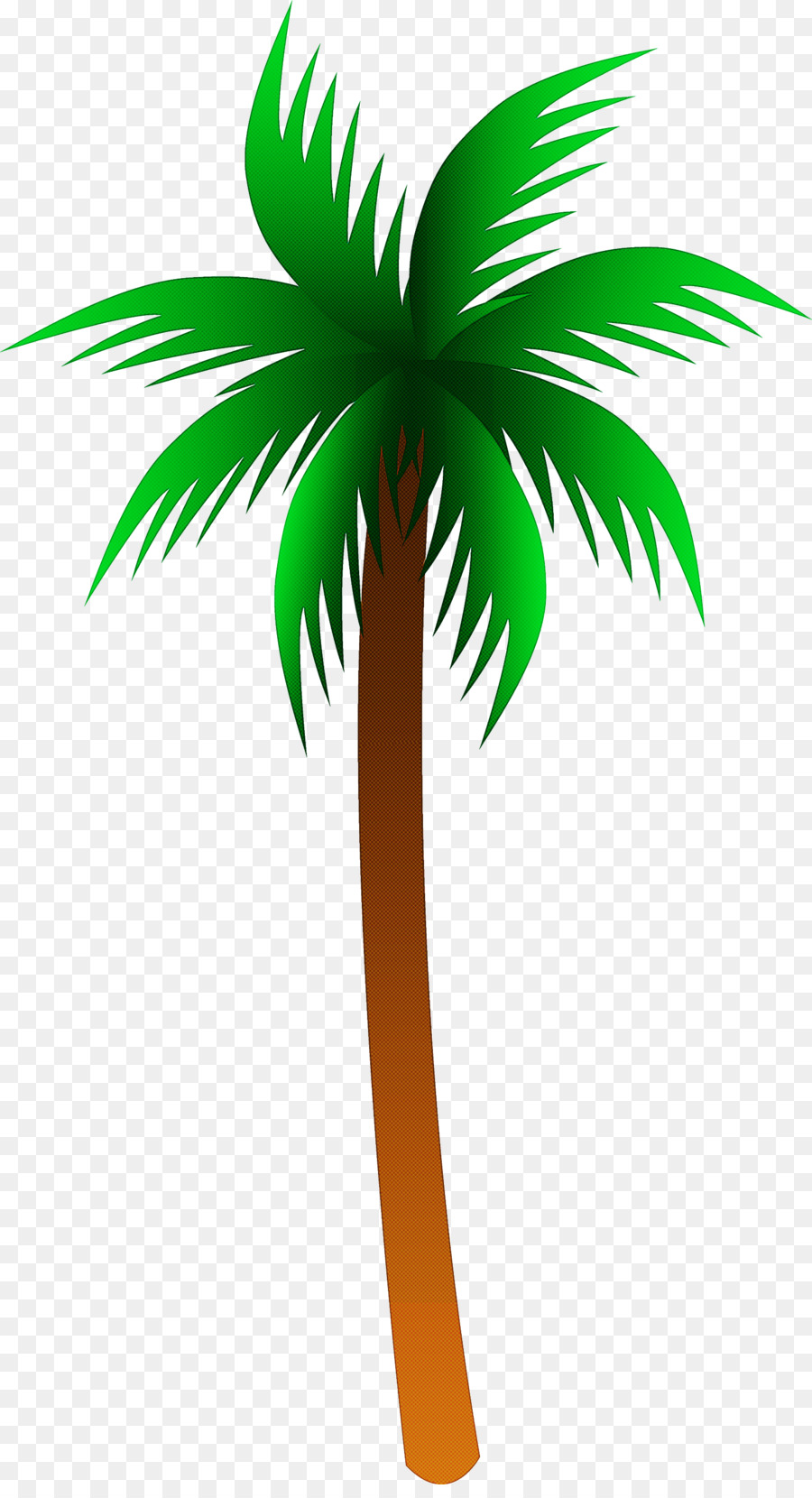 Palmera，Tropical PNG