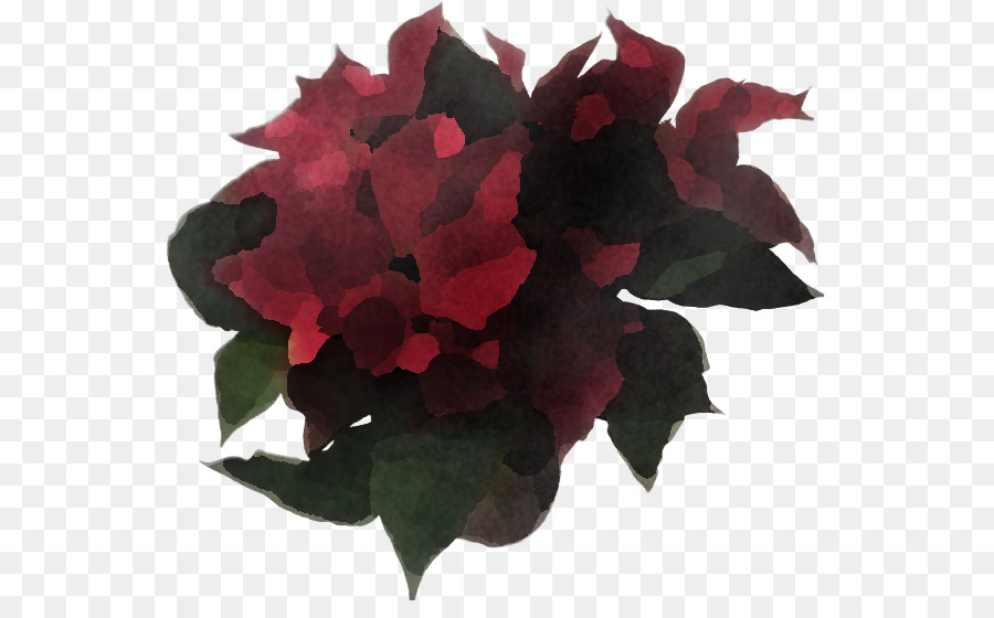 Flor，Rojo PNG