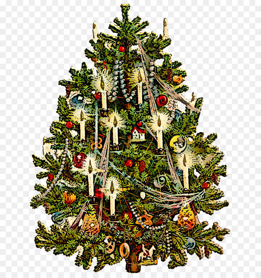 árbol De Navidad，Decoración De La Navidad PNG