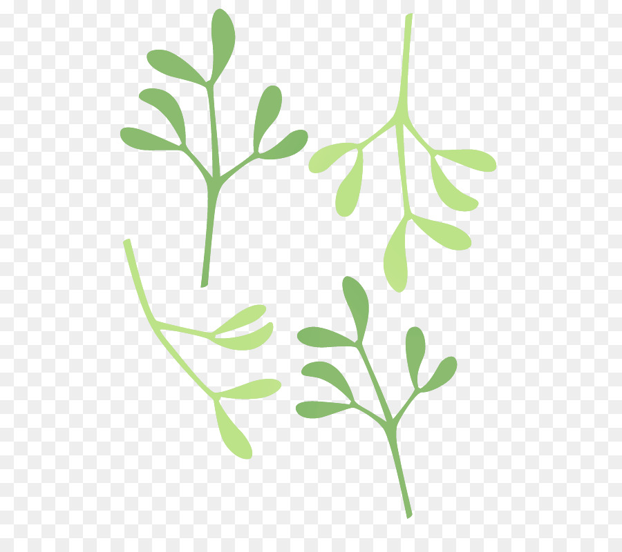 Hojas Verdes，Planta PNG