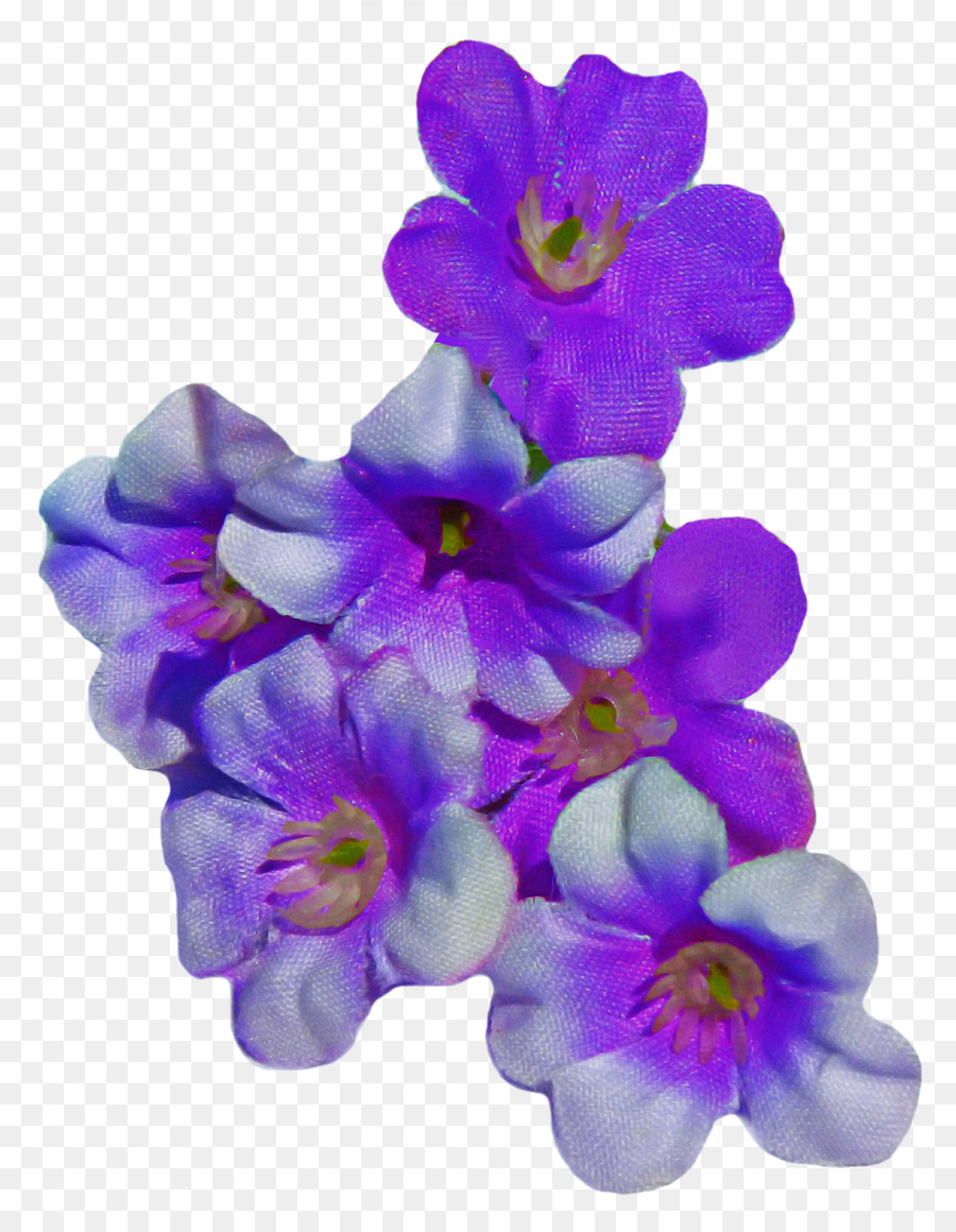 Flor，Florecer PNG