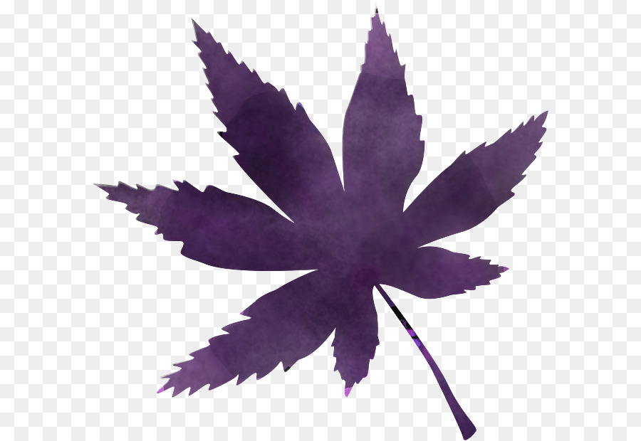 Hoja，Morado PNG