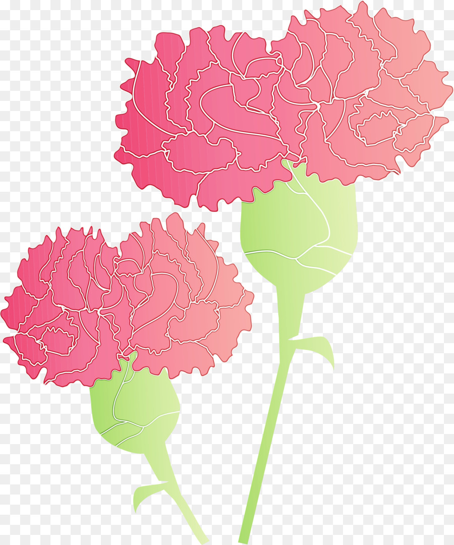 Rosa，Flor PNG