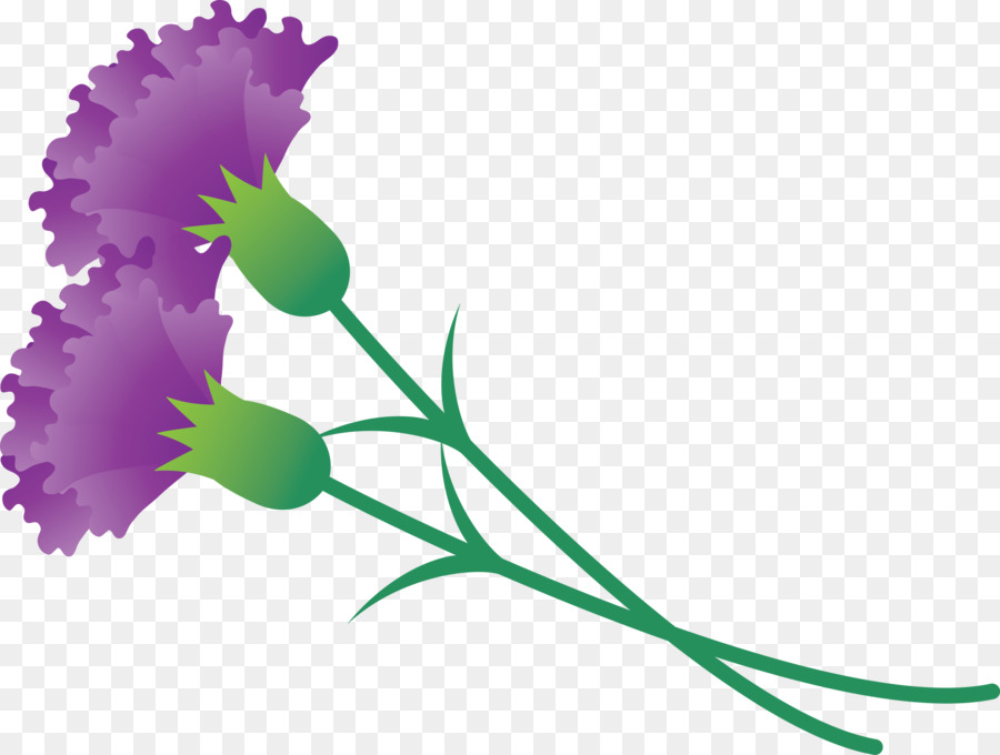 Flor，Planta PNG