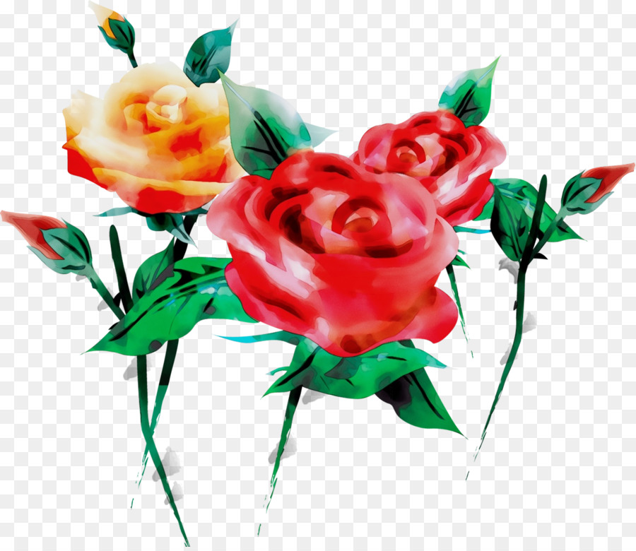 Las Rosas De Jardín，Flor PNG