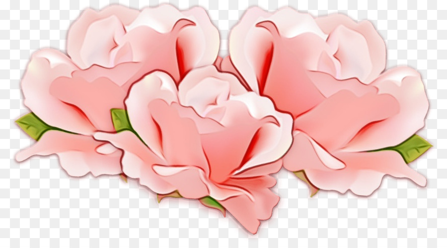 Rosa，Flor PNG