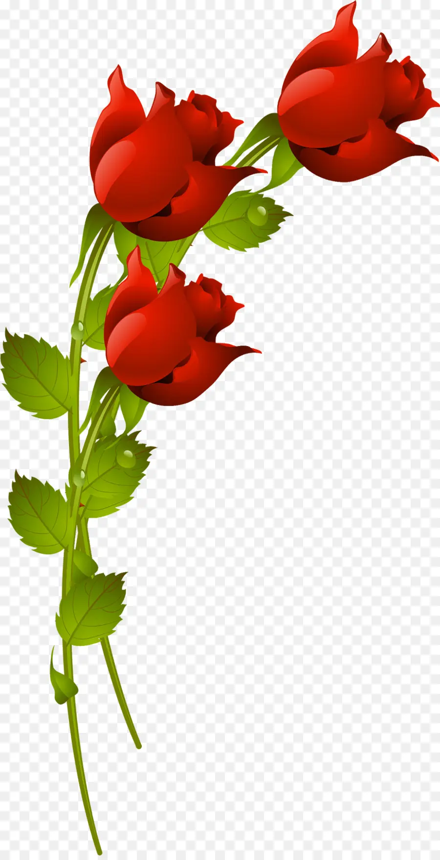 Rosas Rojas，Ramo PNG