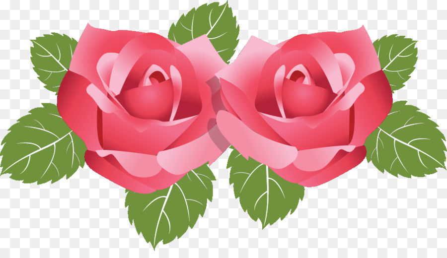 Rosas，Rosa PNG