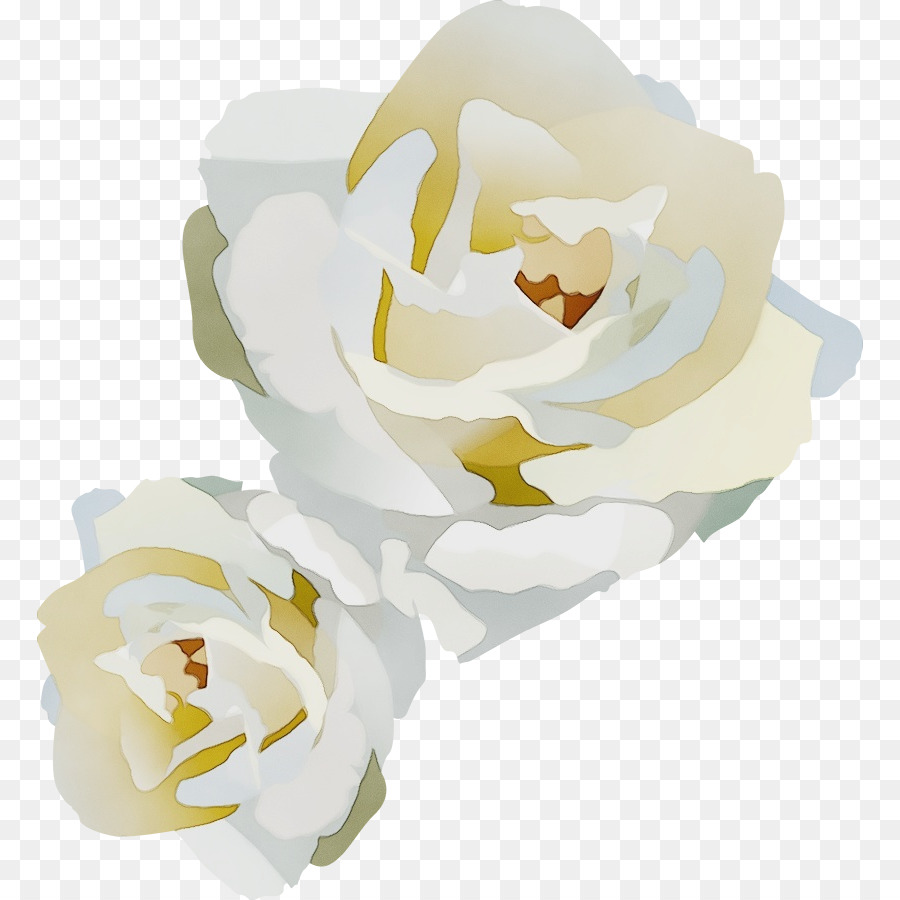 Blanco，Flor PNG