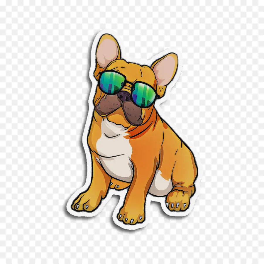 Perro，Gafas De Sol PNG