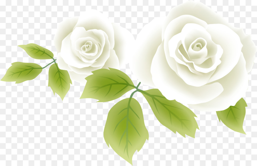 Rosas Blancas，Hojas PNG