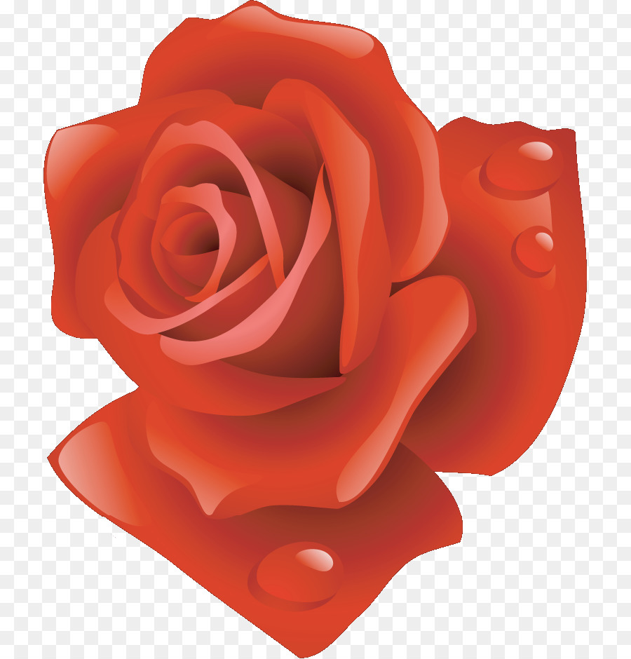 Rojo，Las Rosas De Jardín PNG