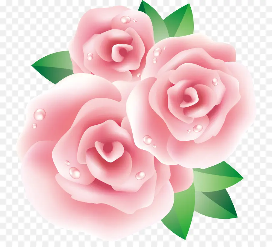 Rosas Rosadas，Florecer PNG