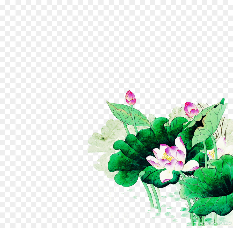 Flor，Planta PNG