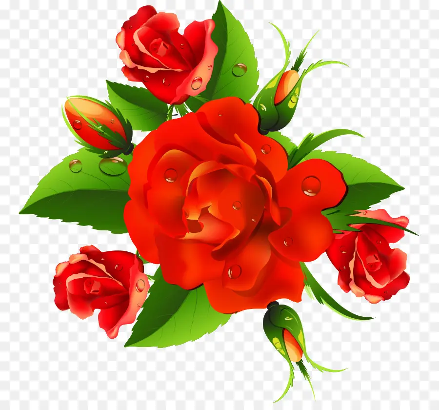 Flor，Rojo PNG