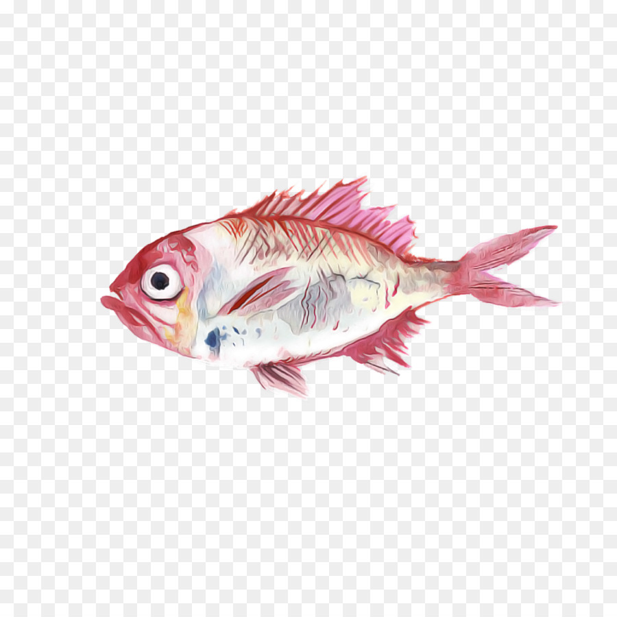 Los Peces，Rosa PNG