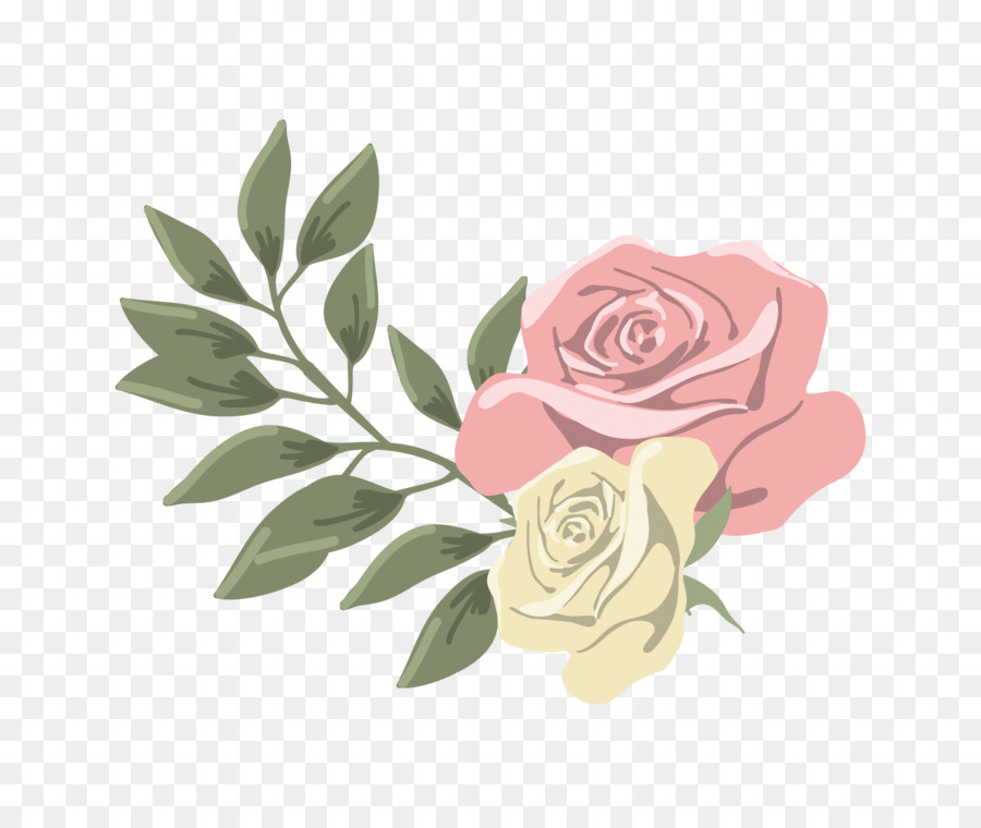 Rosa，Flor PNG