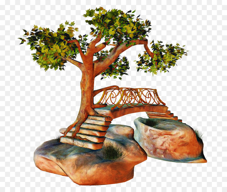 Árbol，Planta PNG