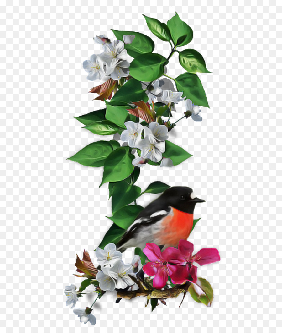 Flor，Planta PNG