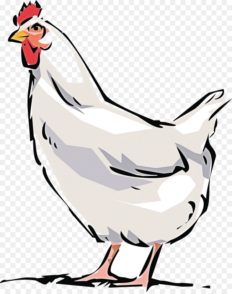 Aves，Pollo PNG