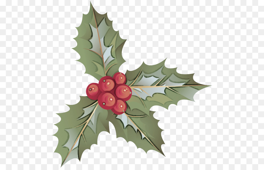 Acebo Con Frutos Rojos，Navidad PNG