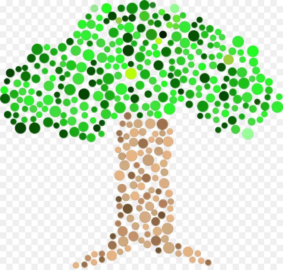 Árbol，Verde PNG