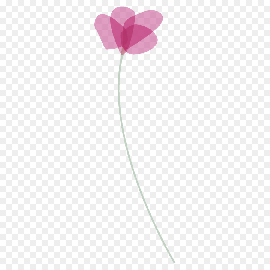 Flores Rosadas，Florecer PNG