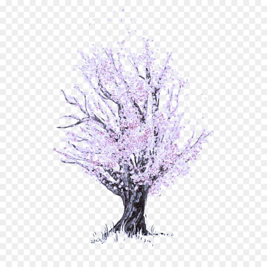 Árbol，Rama PNG