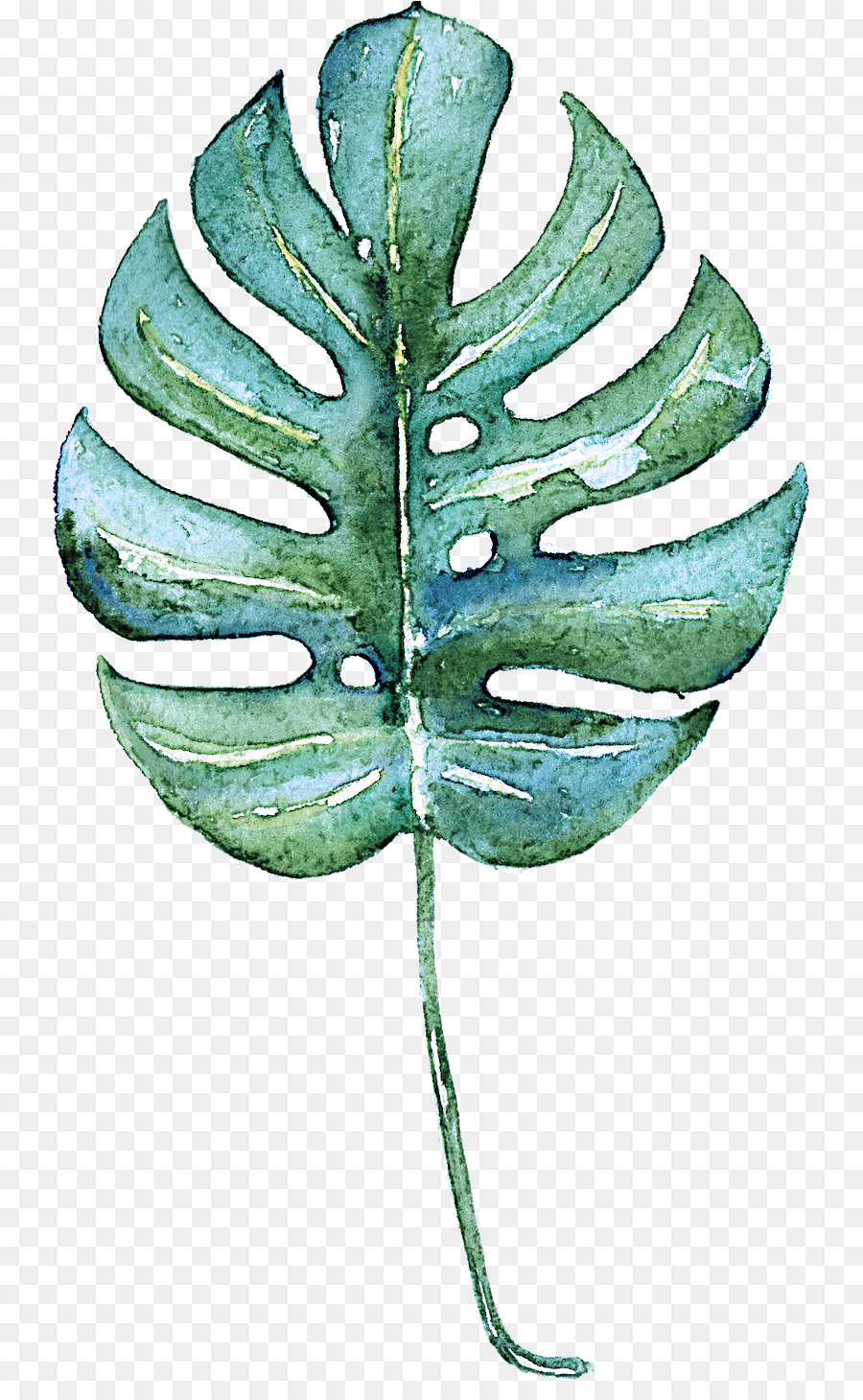 Hoja，Verde PNG