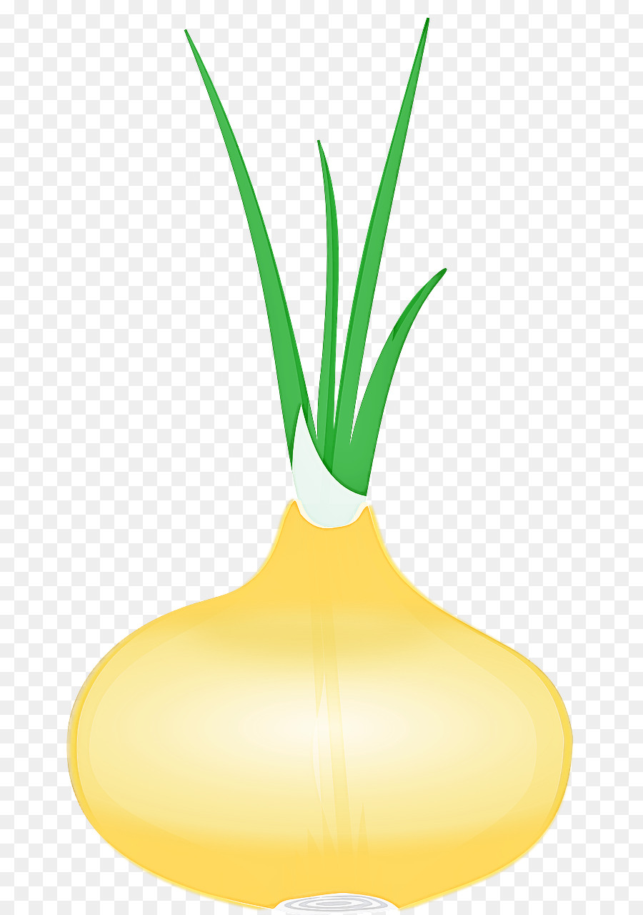 Vegetal，Amarillo PNG