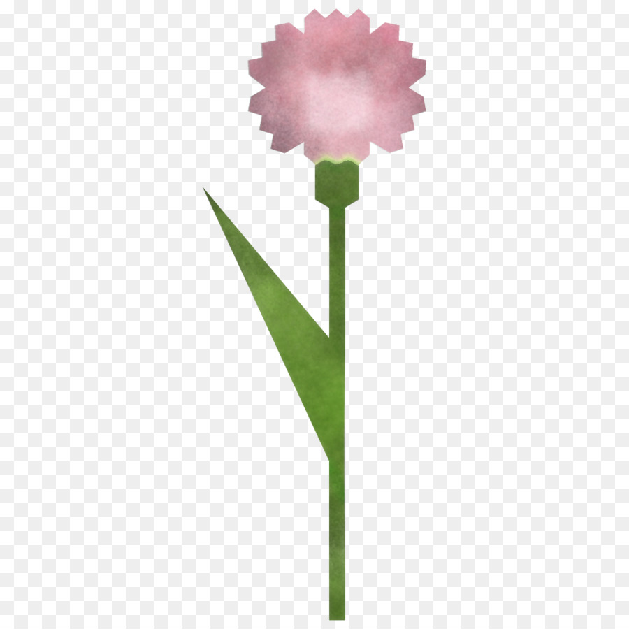 Flor，Provenir PNG