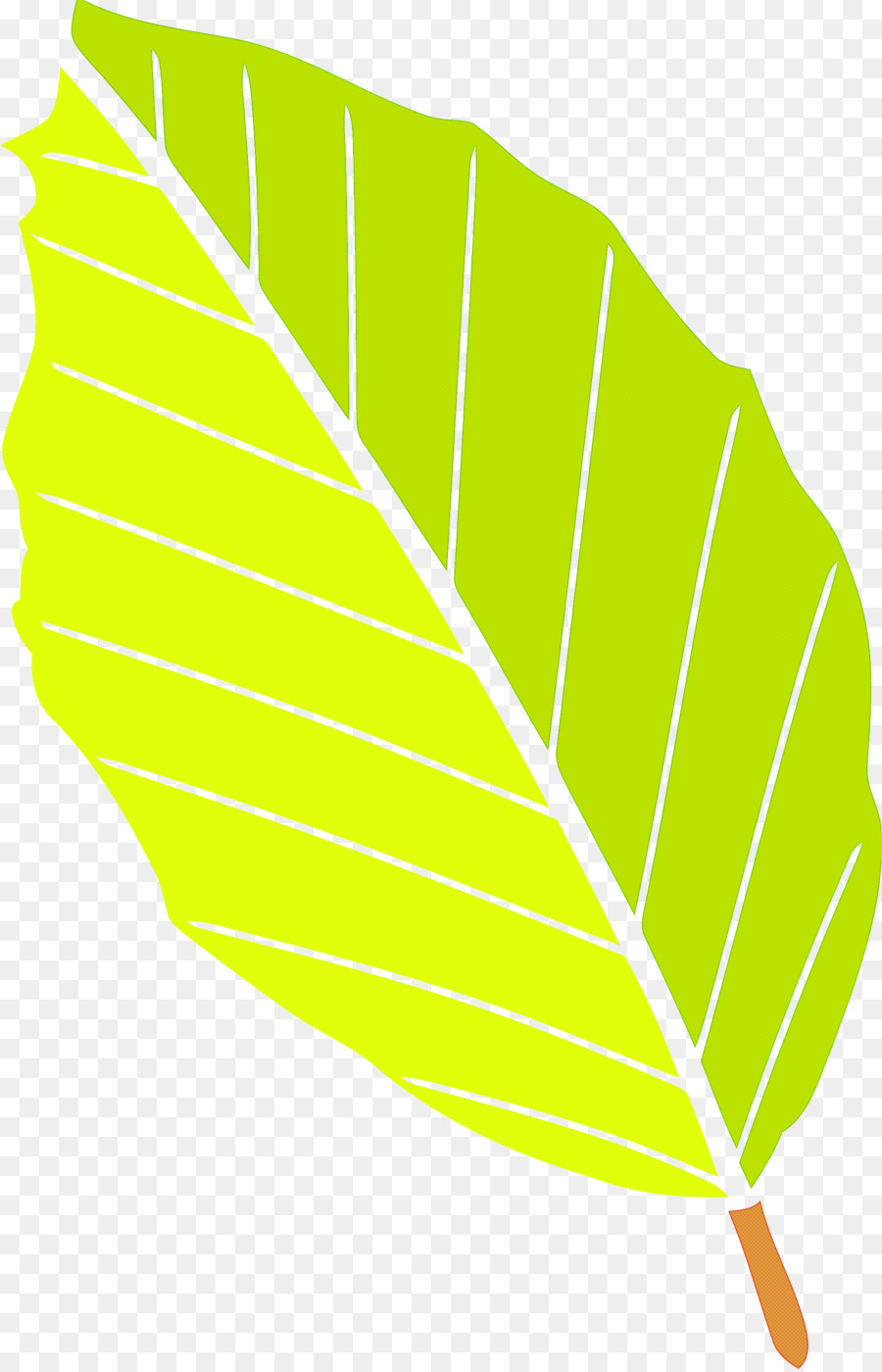 Hoja，Verde PNG