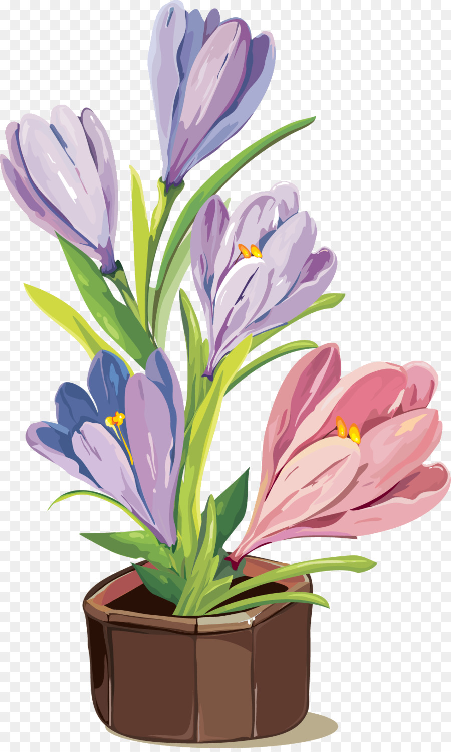 Flor，Planta PNG