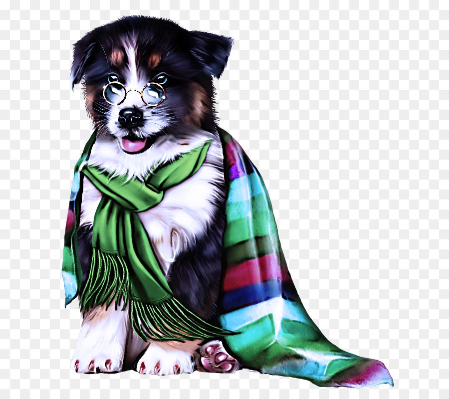Perro，Border Collie PNG