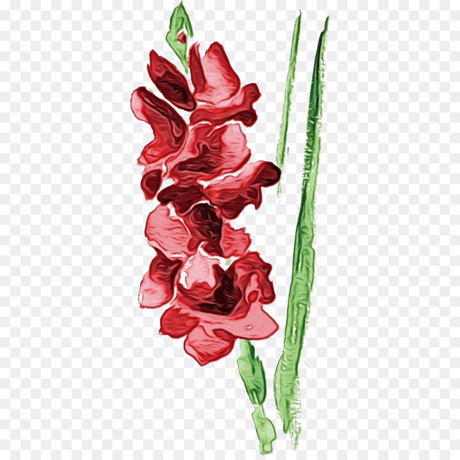 Flor，Gladiolo PNG