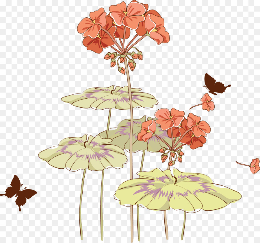 Flor，Planta PNG