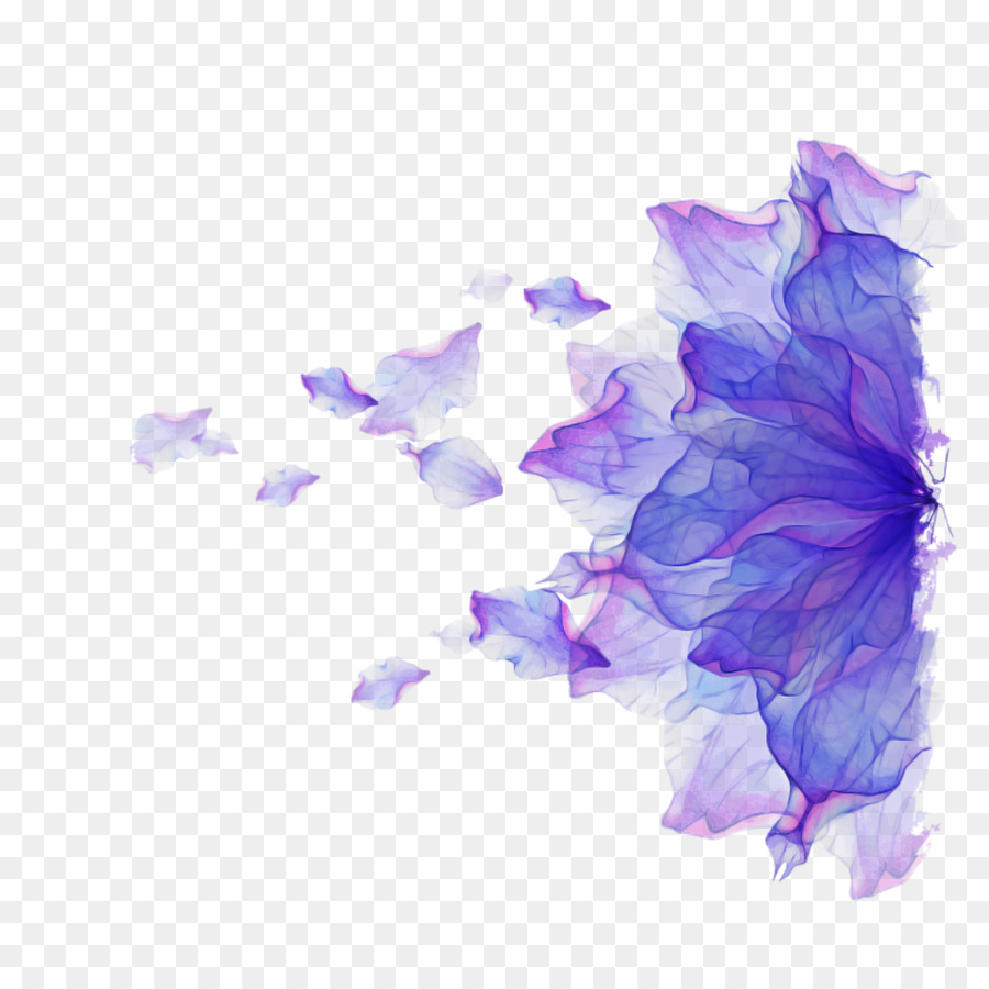 Violeta，Morado PNG