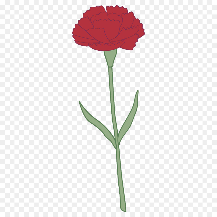 Flor Roja，Provenir PNG