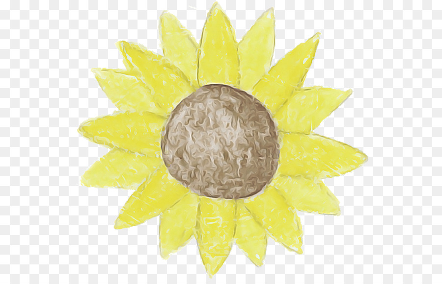 Girasol，Amarillo PNG