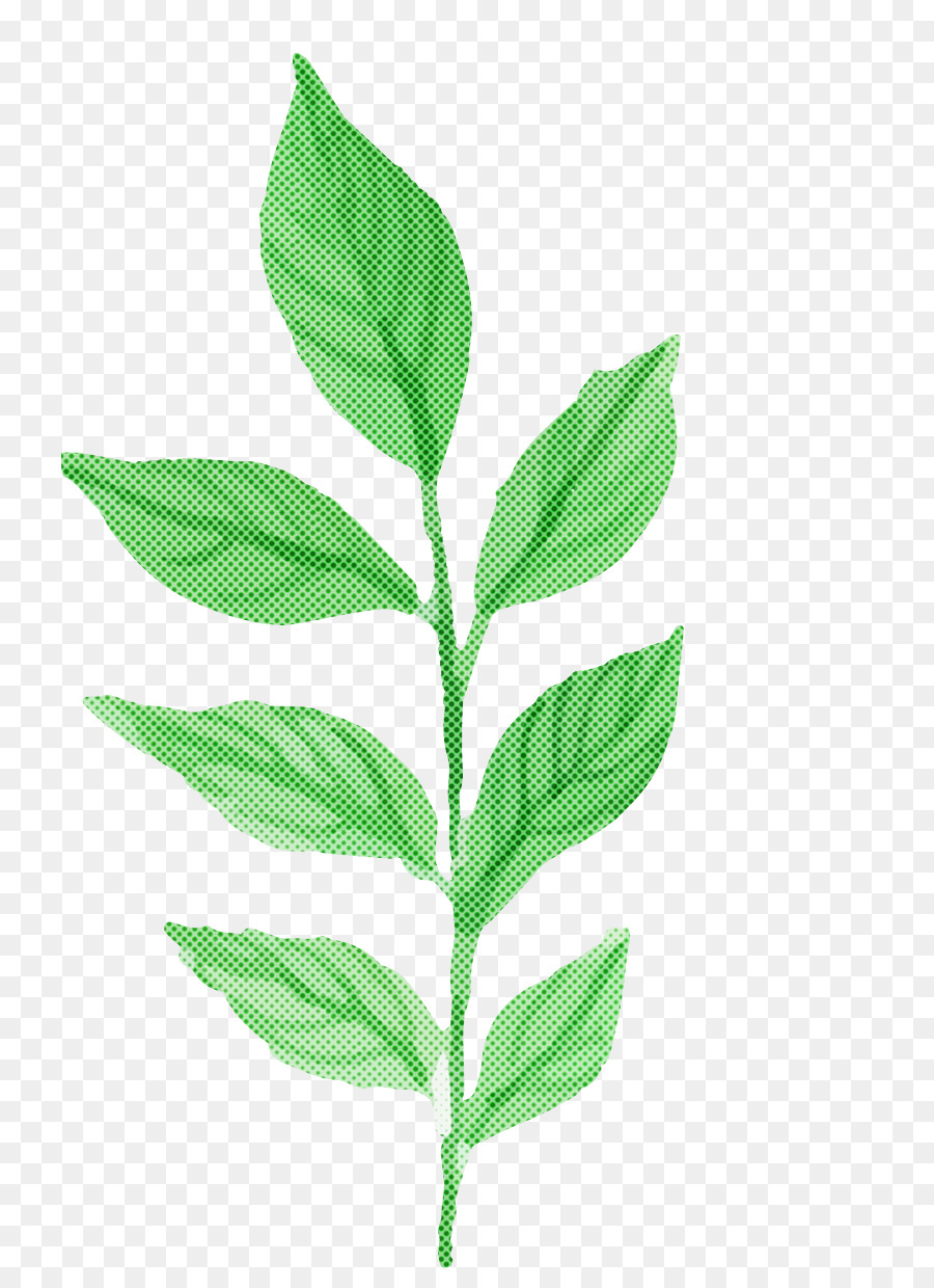 Hoja，Flor PNG