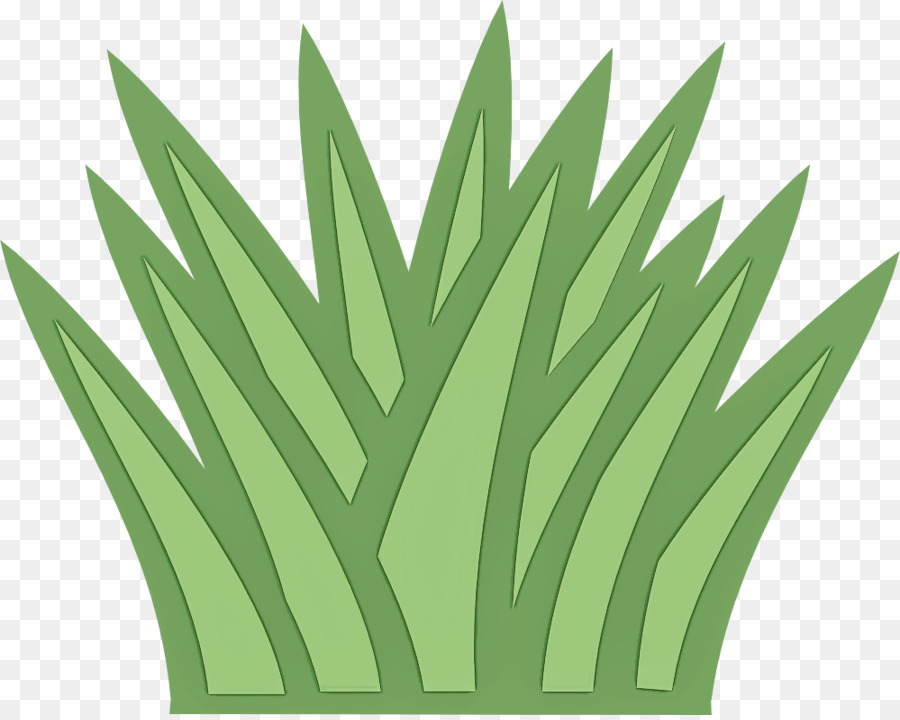 Verde，Hoja PNG